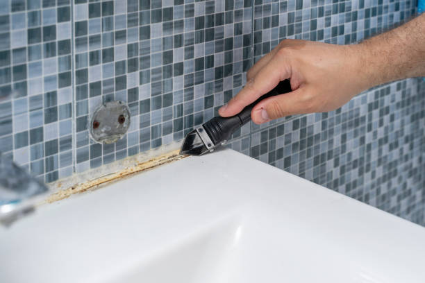 Best Residential Mold Removal  in Oakwood, IL